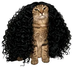 Pegatina Gato Atigrado con Peluca Rizada Negra