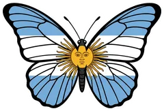 Pegatina Mariposa Bandera Argentina y Sol de Mayo