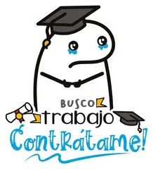 Pegatina Flork graduado Busco trabajo contrátame