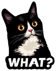 Pegatina Gato tuxedo sorprendido con texto What